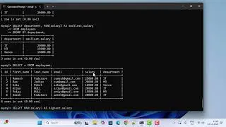 Learn SQL with MySQL Database | MAX Aggregate Function – Find the Highest Value in a Column with CLI