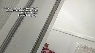 Stream Test Live Stream