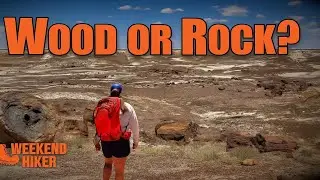 Final Hikes Through Petrified Forest 🌈 Crystal Forest, Giant Logs & Arizona Wonders