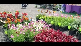 Learn and Grow Festival at A Natural Farm in Howey in the Hills Florida