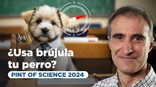 ¿Usa brújula tu perro? Orientación animal con el campo magnético terrestre | Javier García Tojal