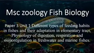 Msc Zoology Fish Biology Paper 3 Unit 1 Feeding habits, Digestion, respiration, osmoregulation