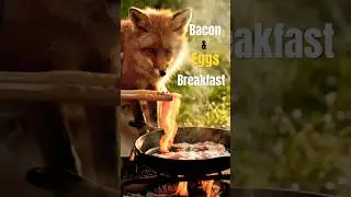 Cozy Forest Cooking Bacon & Eggs Breakfast  #fox #forest #cute #animals #cooking #shorts #shortvideo