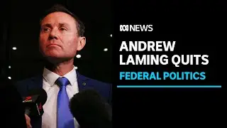 Liberal MP Andrew Laming to quit politics at next election | ABC News