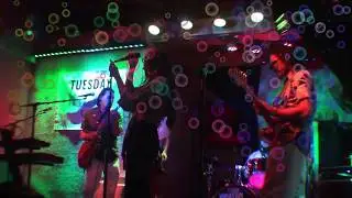 Young and Dumb (Live at 710 Club)