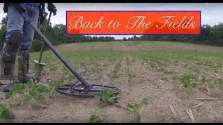#35 Back to the Fields - Metal Detecting 2016 Colonial Copper Coins Flat Buttons