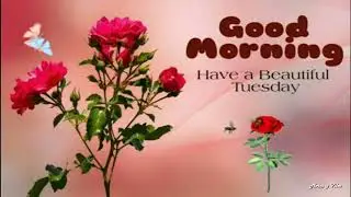 Happy Tuesday, Good Morning Wishes and Quotes, Whats app status video 🌹💐🌺