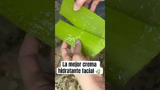 La mejor crema hidratante natural 🌿 🌱 #skincare #natural #belleza