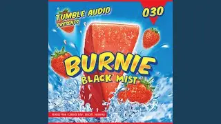 Black Mist (Lorenzo BITW Remix)