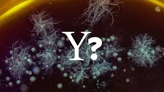 Cancers in younger adults are on the rise. Why?
