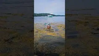 Is that....a Mermaid? #mermaid #merpeople
