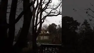2Feb2021 Snow