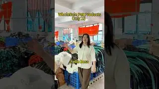 Pet Leash Factory Direct, OEM/ODM available！ #petproducts #wholesale  #petlover #oem #oemfactory