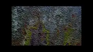 Arecibo CBL Sassuni oror mix 11 13to16oct11rustandrocks
