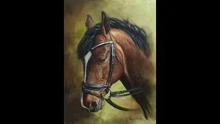 Caballo Holsteiner, &oacute;leo sobre lienzo