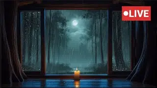 24/7 Relaxing Rainfall 🌧️ |  Ambience for Sleep, Study, Relaxation