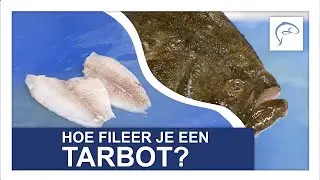 TARBOT FILEREN | Middelkamp Vis