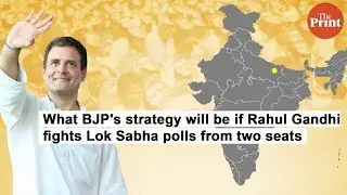 What the BJP's strategy will be if Rahul Gandhi contests the Lok Sabha polls from two seats