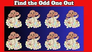 Spot the Odd Cat or Dog Test Your Skills of Observation Game