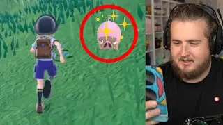 Purplecliffe пропускает свой первый Шайни в Pokemon Violet
