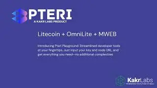 Introducing Pteri Playground: The No-Code Web3 Developer Tool for Instant Blockchain Integration!