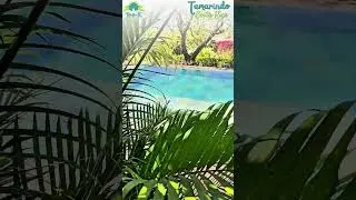 Tee-K Lodge #Tamarindo #puravida #costarica #vacances #voyager #soleil #booking #vacances #airbnb