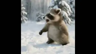 The Generous Raccoon&rsquo;s Snowy Tale ❄️🦝❄️ A cute raccoon shares snowballs with joy