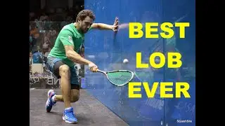 Best Lob Ever Played on a Squash Court