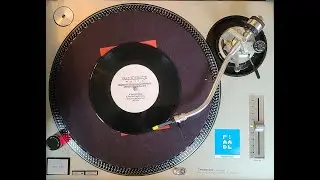 Teflon Dons &ndash; Rudiments EP 25 Year Anniversary