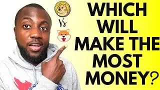 The best meme coin to buy right now | Shiba Vs. Doge 2022
