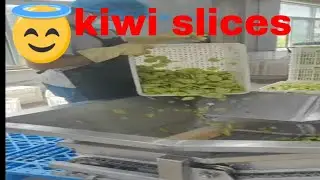 How to make kiwi slices factory process onsite