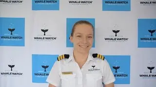 Humpback Season 2020: Starting June 1st