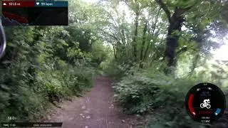 Box Woods to Hazlebury Manor, 27th May 19
