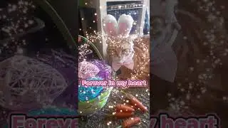 Мошенник: Оранжевый кот Сладкие воспоминания 5 #shorts #cat