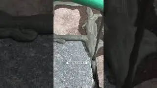 Sigillatura del porfido  a lastre con boiacca di cemento fluido - Radioli Pavimenti