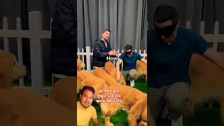 আপনার ডখি খুঁজুন, $10,000 ডলার জিতে নিন #challenge #mrbeast #funny #comedy #facts #tech