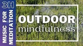 Outdoor mindfulness | 3 hour meditation music