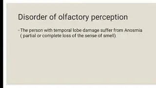 5th video on temporal lobe damage/By Mrs. Vinu
