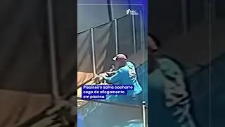 Pool attendant saves blind dog from drowning in pool