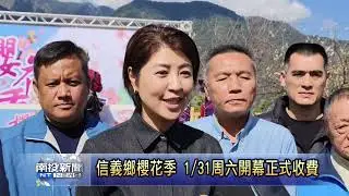 信義鄉櫻花季 1/31周六開幕正式收費  南投新聞