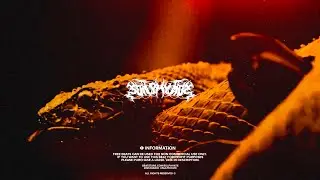 [SOLD] CITY MORGUE x SCARLXRD TYPE BEAT 