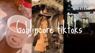 Goblincore tikoks🍂