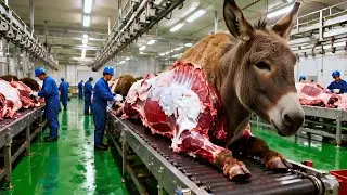 Inside the Donkey-Leather Factory: From Raw Hide to High-End Luxury Leather (Full Process)