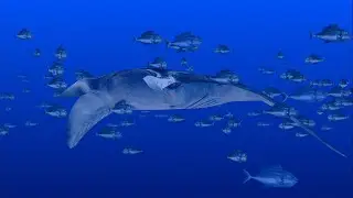 PlayStation Demo One - Tech: Manta 4K #HQ #remastered #quality #PS1