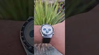 Timex Q panda chronograph reverse panda rose gold TW2W51800UJ  #trendingshorts