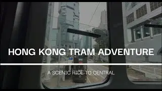 Hong Kong Tram Adventure  A Scenic Ride to Central