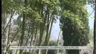 SUIVEZ LE GUIDE   Saint R&eacute;my de Provence, la capitale des A mp4