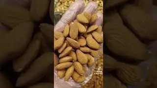 malomati video