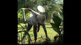 Fun inspiring project/ cleaning/ patio/flower bed/homestead/diy.