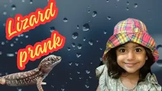 Barish ka bad chipkali na pagal kisnko kiya ? |lizard prank | extreme prank on huwina | comedy | fun